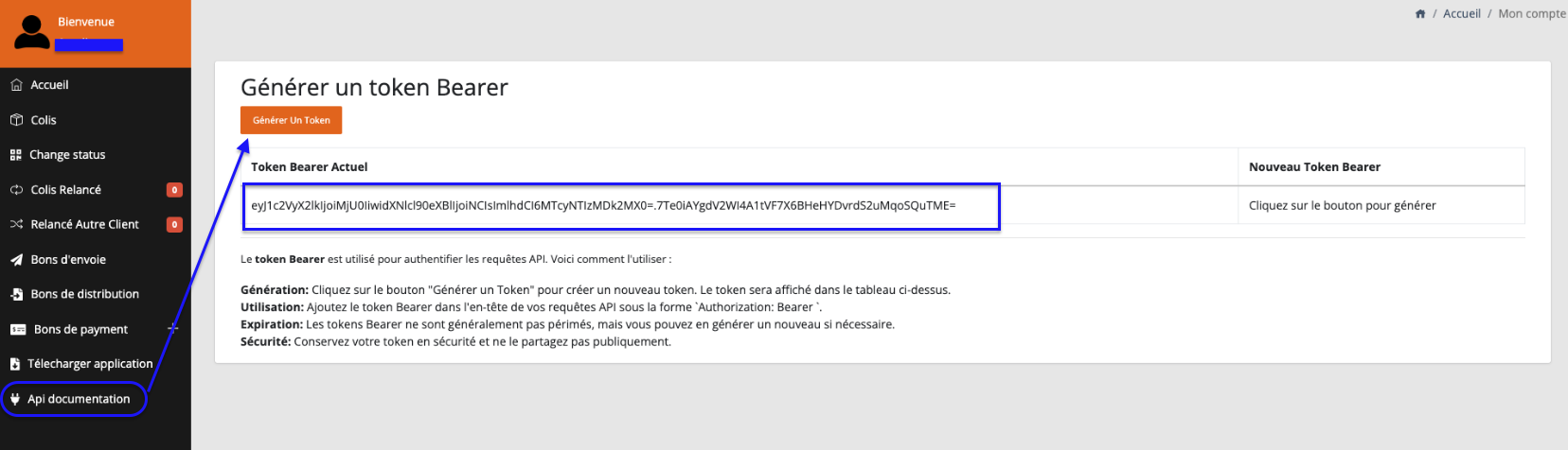 Screenshot showing where to find the API token